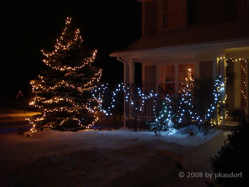 017 A2 Snowfall & Trees [2008 Dec 20].JPG - Our Christmas Trees for 2008.